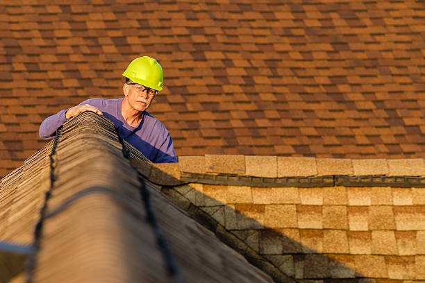 Best Roof Maintenance Services  in Mojave, CA